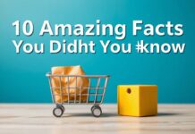 E-ticaret Dünya’sında Bilmediğiniz 10 Harika Gerçek 10 Amazing Facts You Didn't Know About the E-commerce World